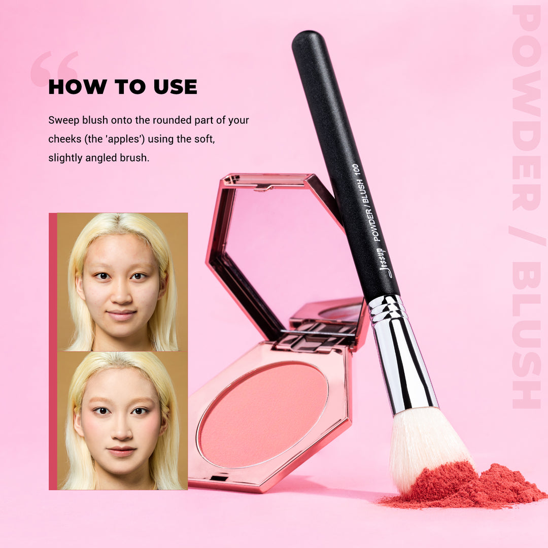 professional blush brush