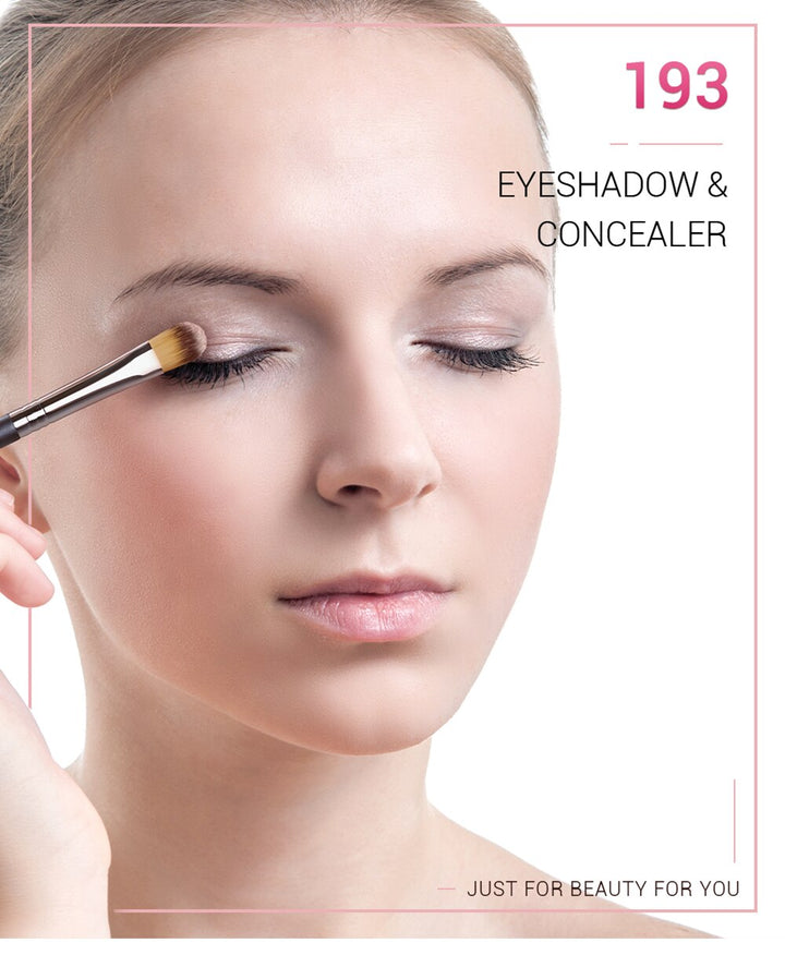 Eyeshadow & Concealer Brush 193