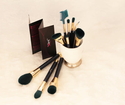 Colorful Makeup Brush Kit 10pcs T252