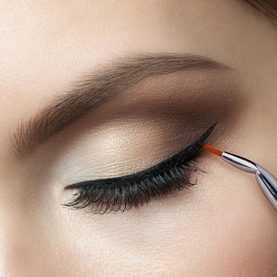 Professional Makeup Eyeliner Brush Set 11pcs T324